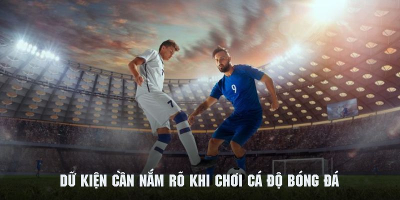 Kinh Nghiệm Cá Độ Bóng Đá - Bí Kíp Từ Chuyên Gia Tại QQ88 4 Những điều cần phân tích trước khi tham gia cá độ bóng đá